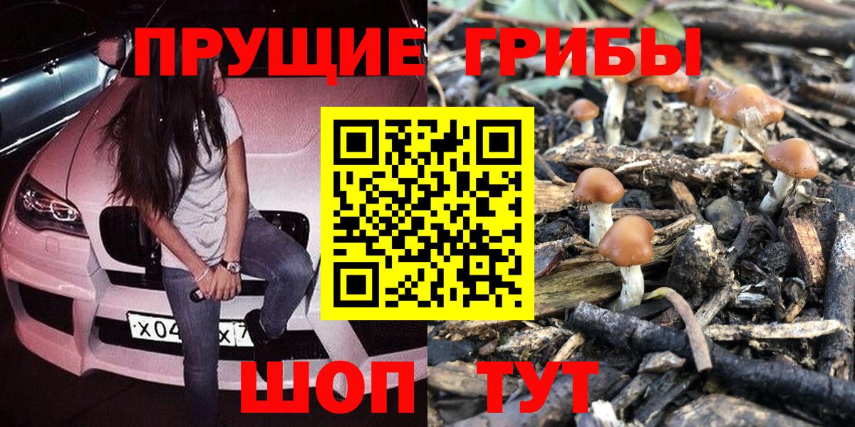 Псилоцибиновые грибы Psilocybe Егорьевск