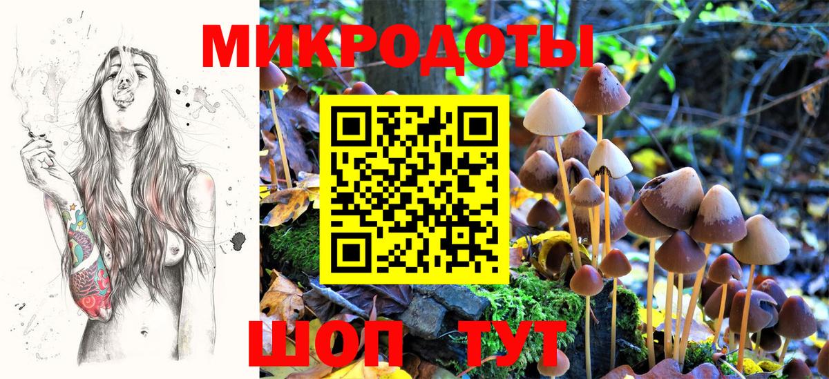 Галлюциногенные грибы Cubensis  Вход с VPN  Егорьевск 
